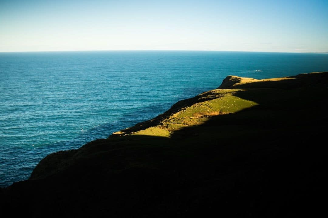 Coastal Views Adventures Hiking In Otago New Zealand