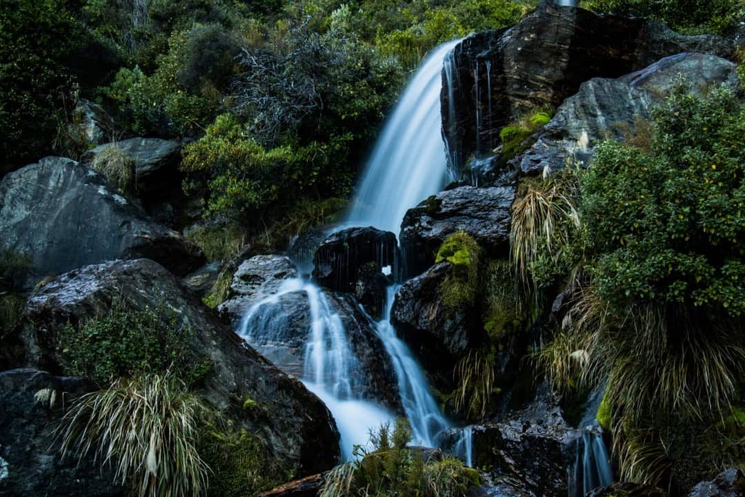 Wye Creek Track Adventures Hiking In Otago New Zealand