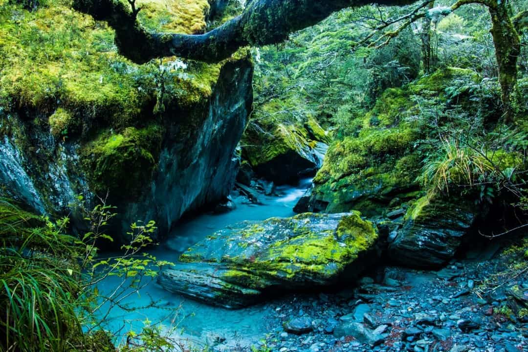 Adventures Hiking In Otago New Zealand