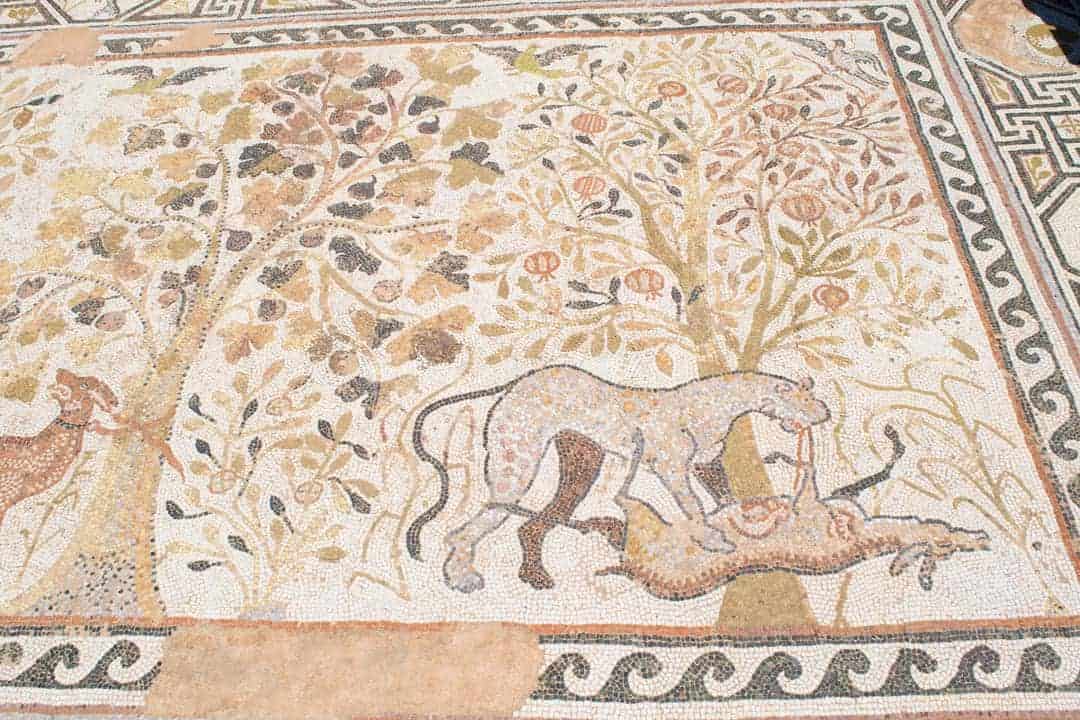 Beautifully Preserved Mosaics In Heraclea Lyncestis Ruins, Bitola, Macedonia