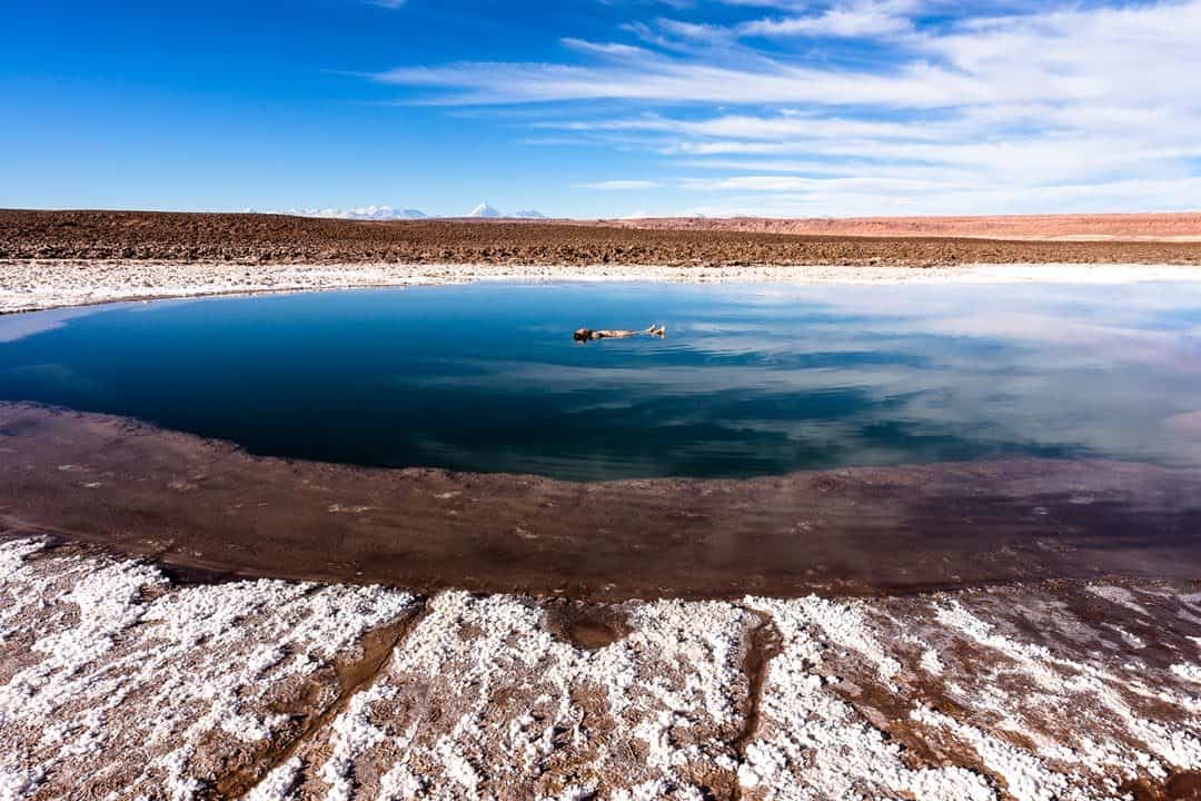 Floating Lake Atacama Desert Photos Of Chile