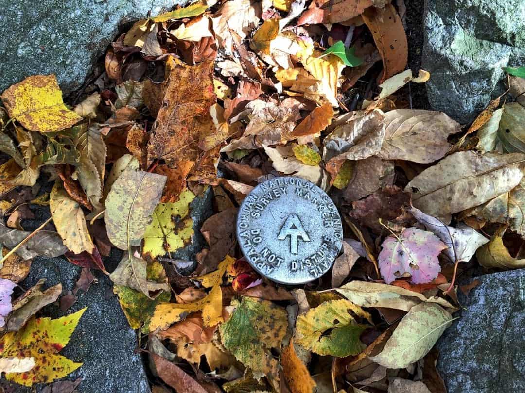 Autumn Leaves - Hiking Through The Appalachian Trail, Usa