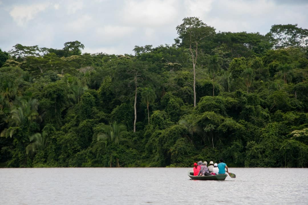 Las deszczowy Amazonii - miejsca do odwiedzenia w Wenezueli