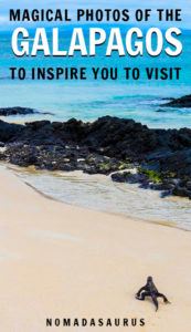 Galapagos Pinterest Image 