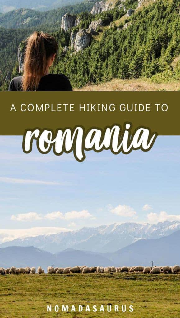 Hiking in Romania The Beginner's Guide and Local Treks (2024 Guide)