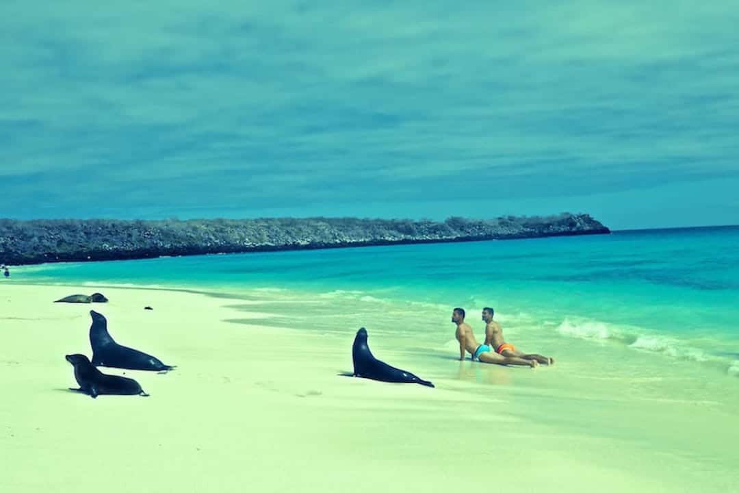 Galapagos Espanola Island Sea Lions Adventure Activities In Ecuador