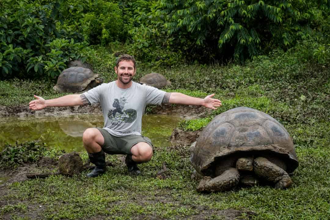 Giant Tortoise Galapagos Islands Pictures