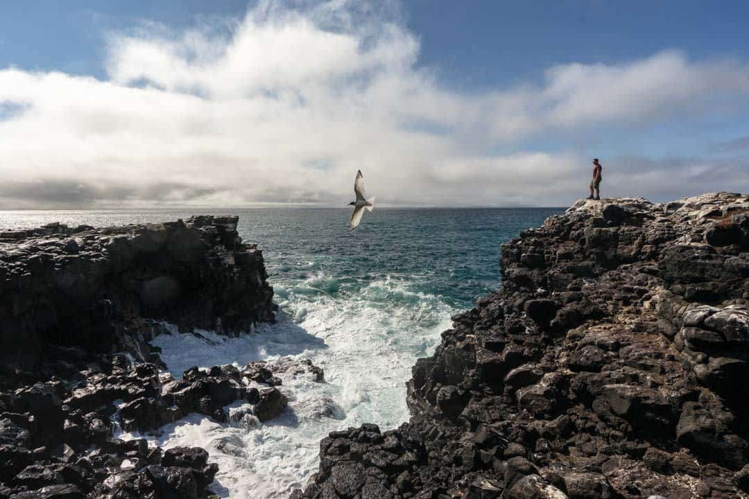 Volcanic Coastline Galapagos Islands Pictures