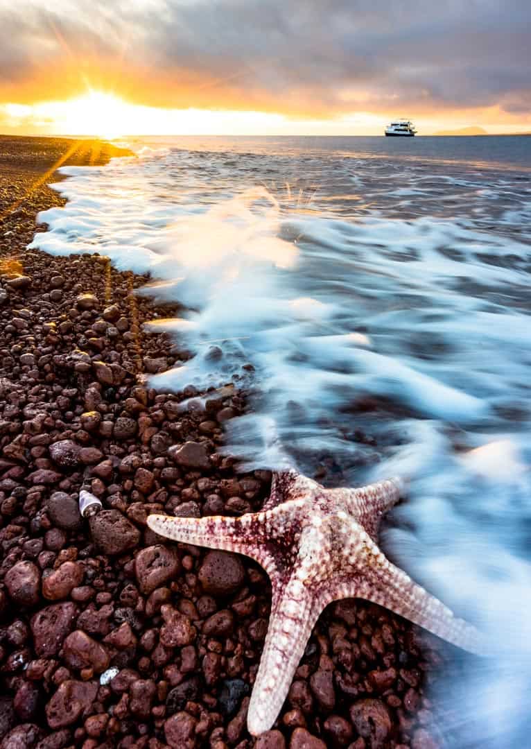 Rabida Island Galapagos Islands Pictures