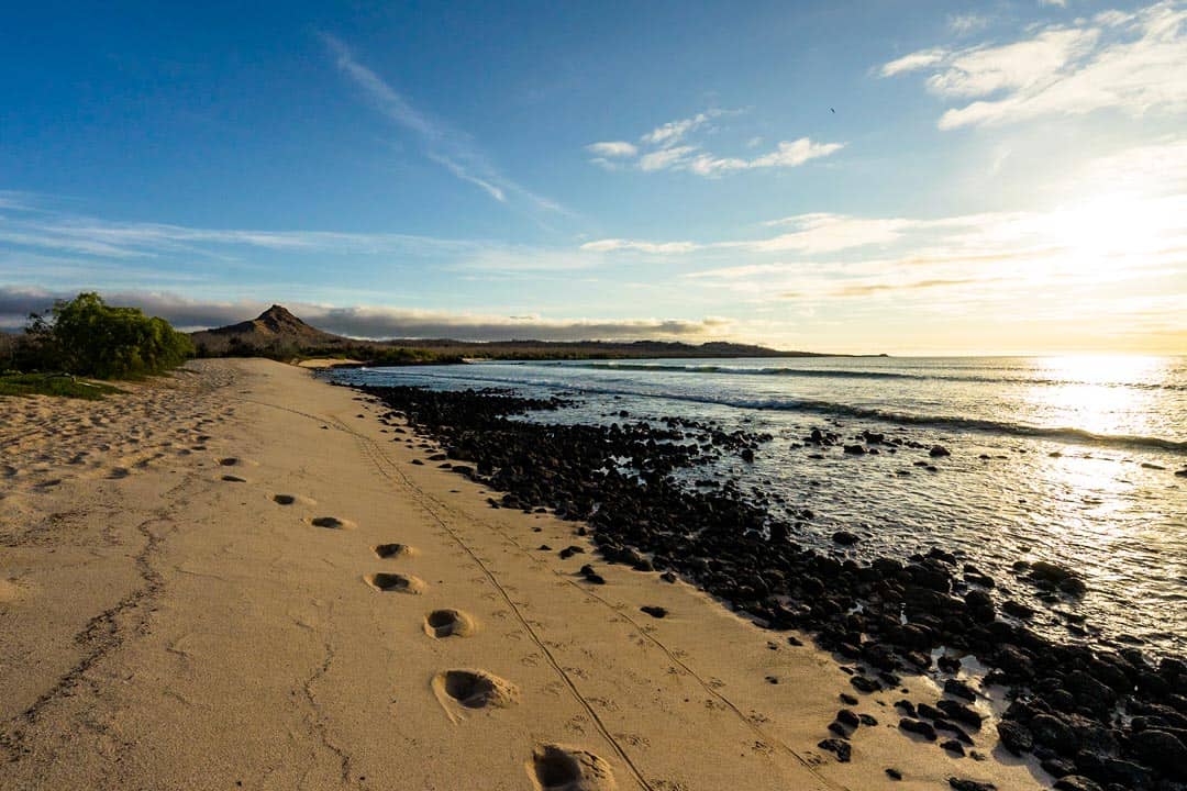 Tracks Galapagos Islands Pictures