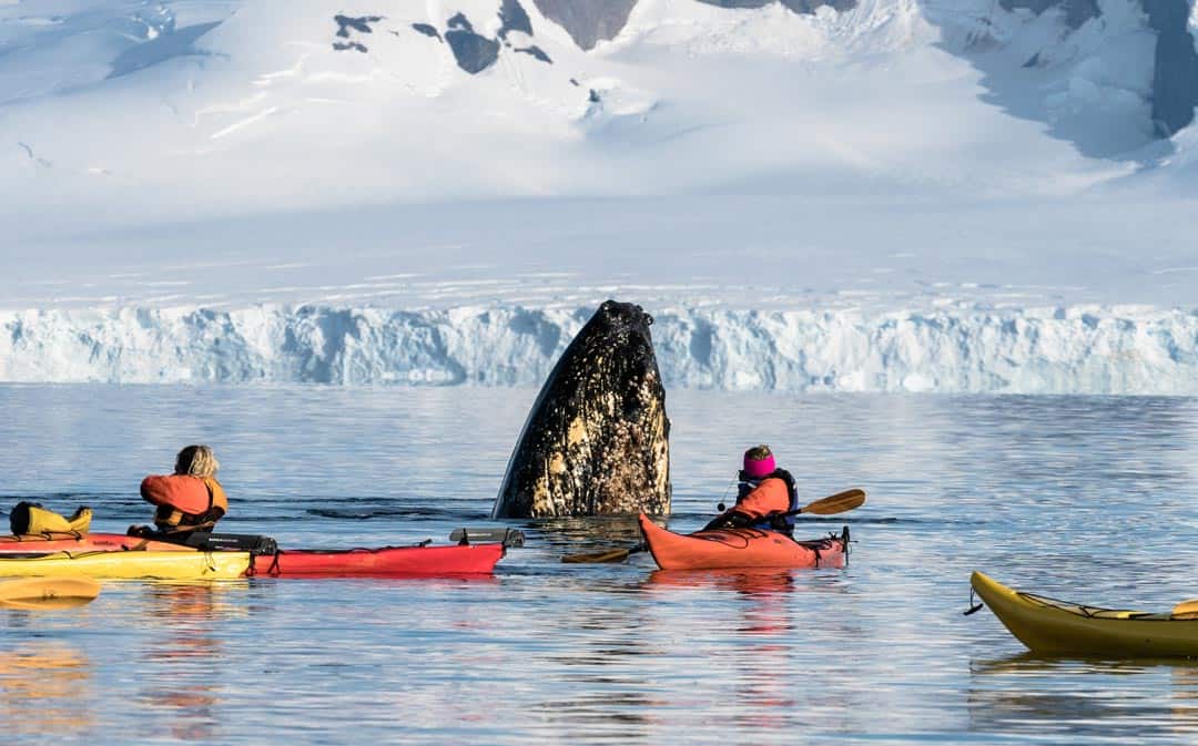 From kayaking amongst whales to swimming inward the caldera of an active volcano 17 Awesome Things to Do inward Antarctica (2019 Edition)