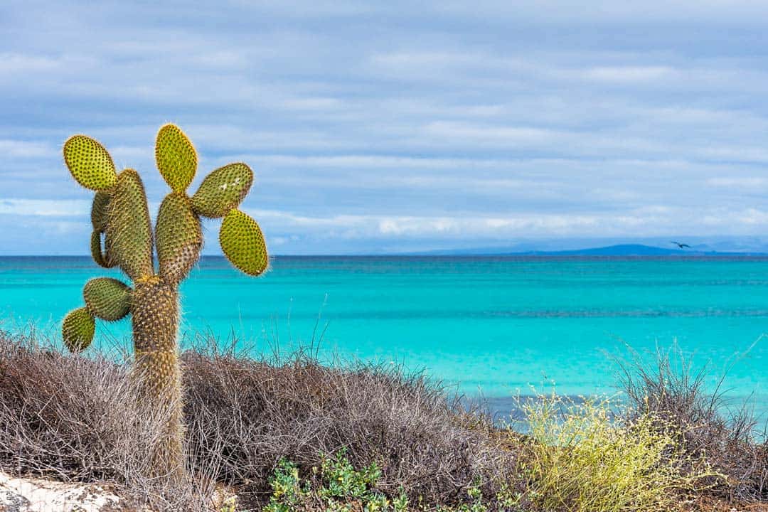 Las Bachas Beach Santa Cruz Letty Galapagos Islands Ecoventura Itinerary B Review