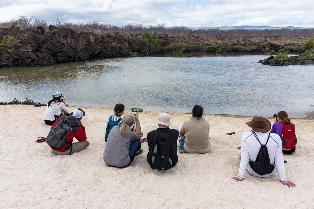 Excursions Letty Galapagos Islands Ecoventura Itinerary B Review