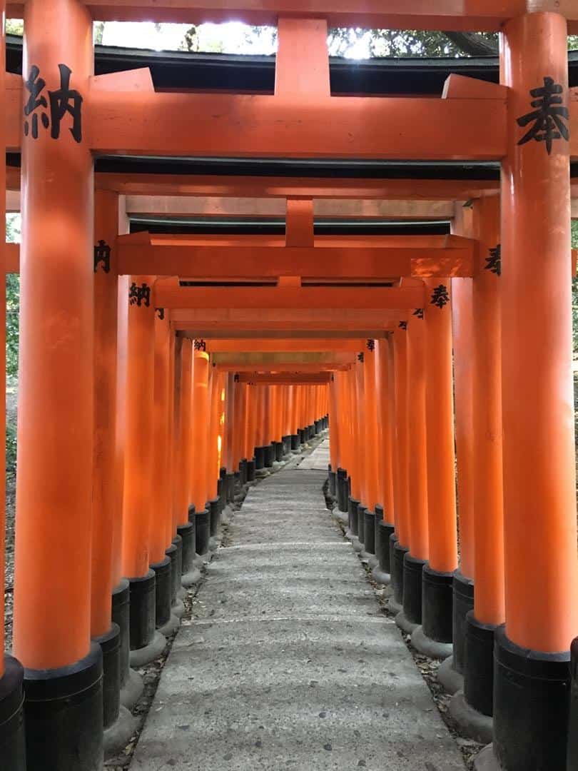 exploring the architecture of Japanese castles to slurping downwardly the best bowl of ramen yo The Ultimate Guide to Budget Travel inwards Nippon inwards 2019