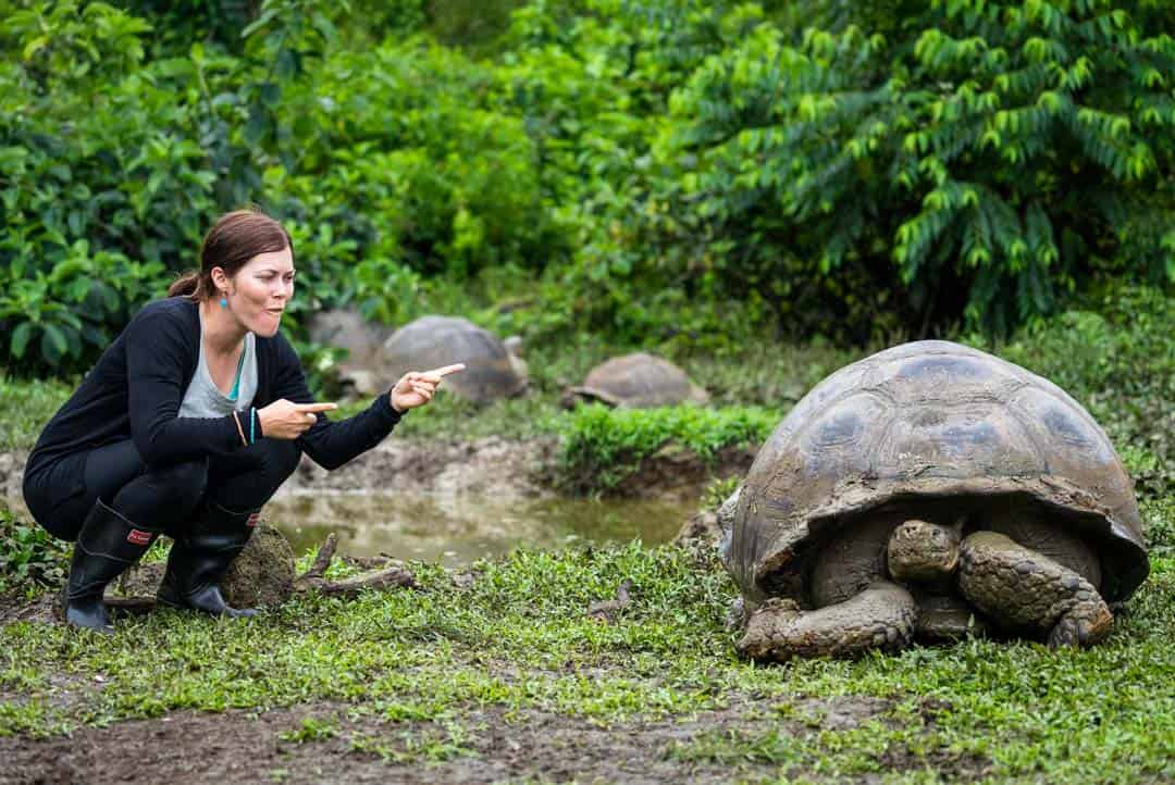 Lesh Giant Tortoise Letty Galapagos Islands Ecoventura Itinerary B Review