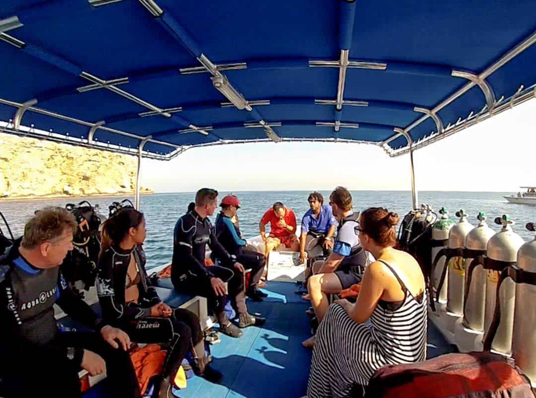 ve ever wanted to cheque out the Sultanate of Oman diving sites Sultanate of Oman Diving – Is It Worth Doing (And What You Need to Know)