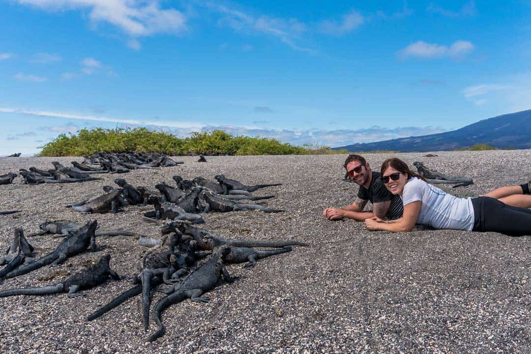 Marine Iguanas Letty Galapagos Islands Ecoventura Itinerary B Review