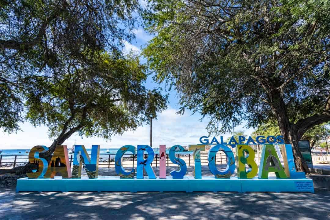 From diving to hammerhead sharks to hanging out alongside giant tortoises 12 Amazing Things to Do inward San Cristobal, Galapagos Islands