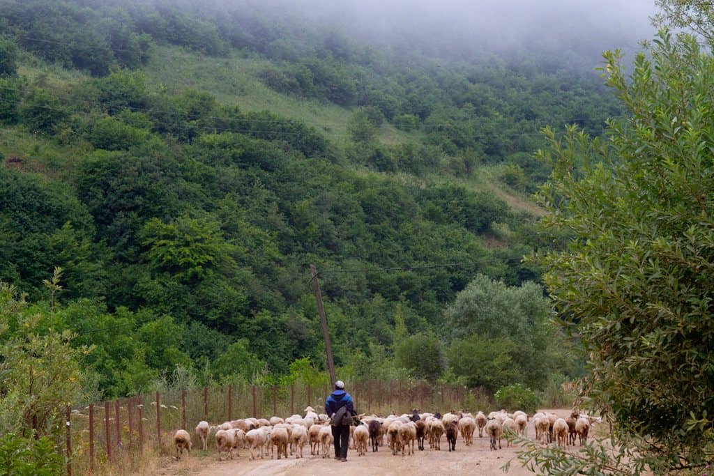 s longest cable automobile ride through the mesmerising landscapes of Vorotan canyon to admiring Travel to Armenia – Tips together with Information inward 2019