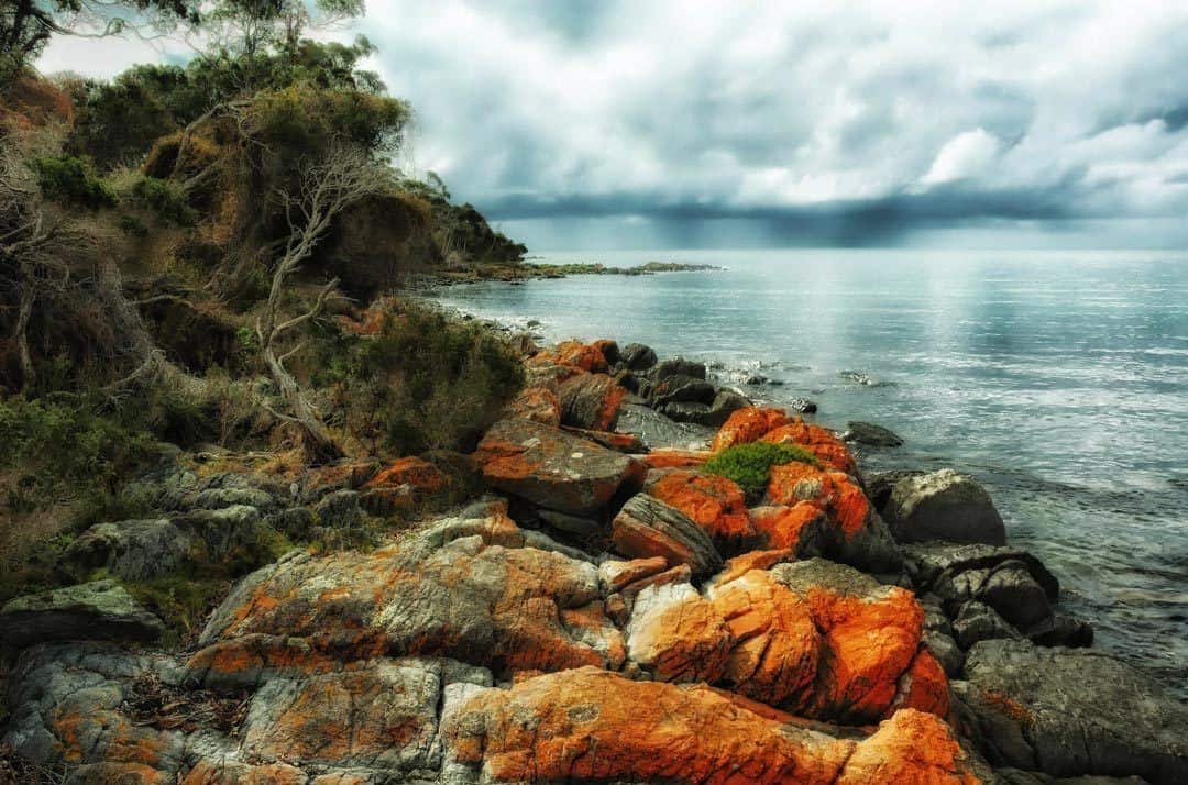 Greens Beach Places To Visit In Tasmania