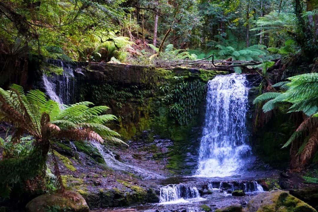 Mt Field National Park Tasmania