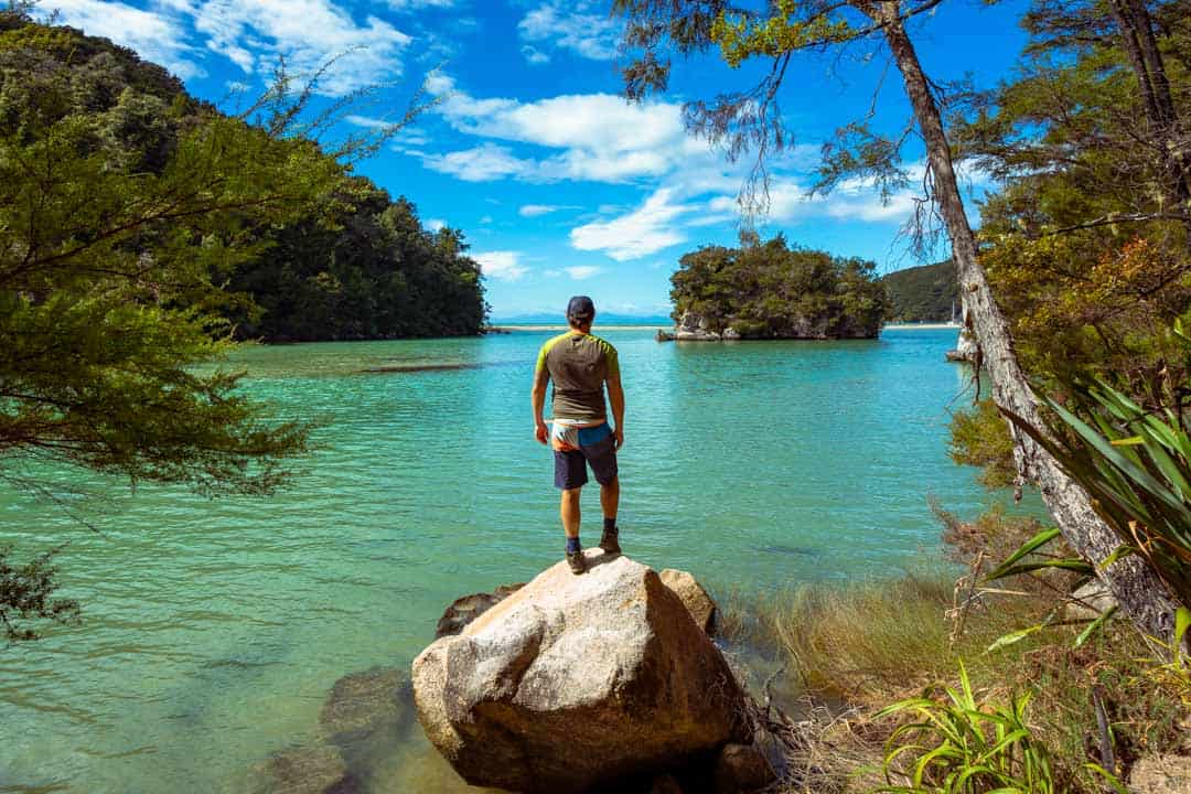 Bark Bay Views Abel Tasman