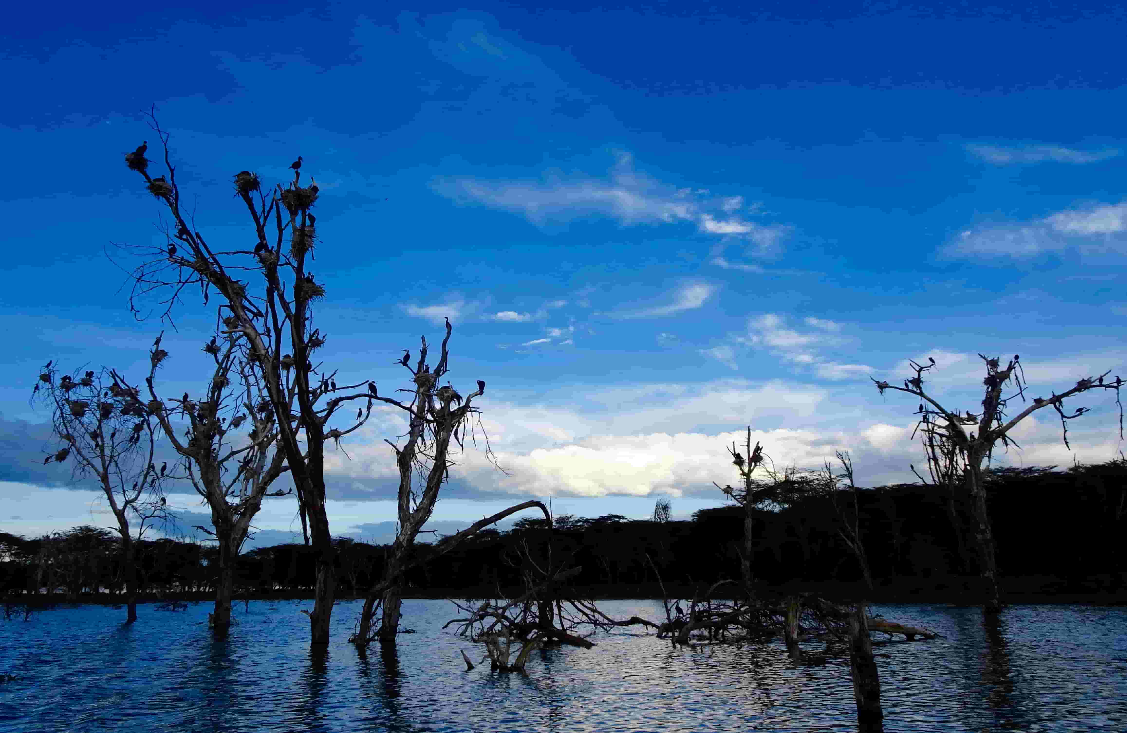 Lake Naivasha