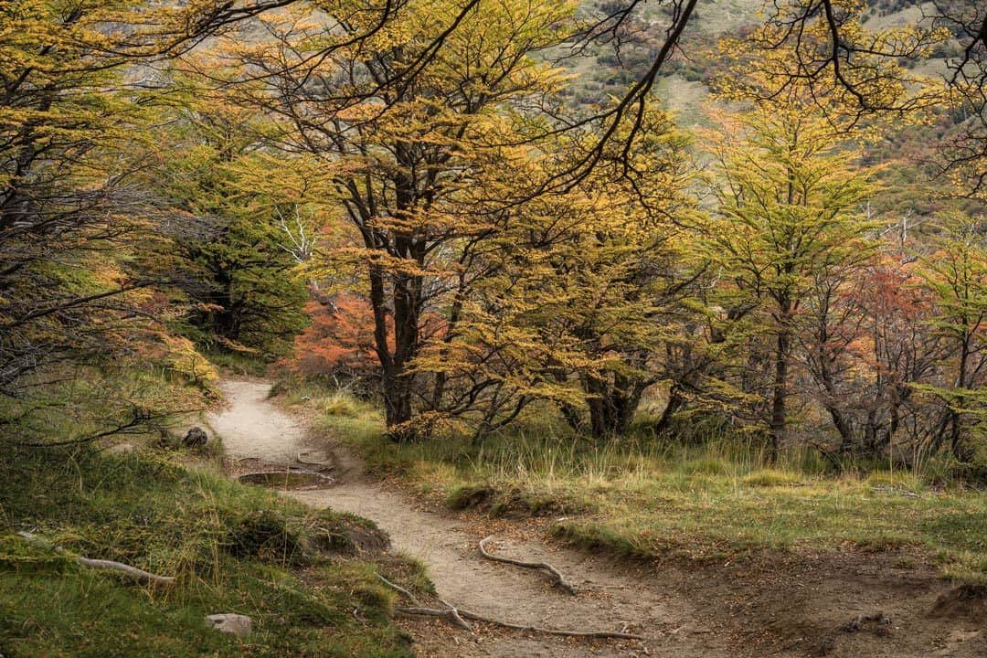 Autumn Colours Patagonia