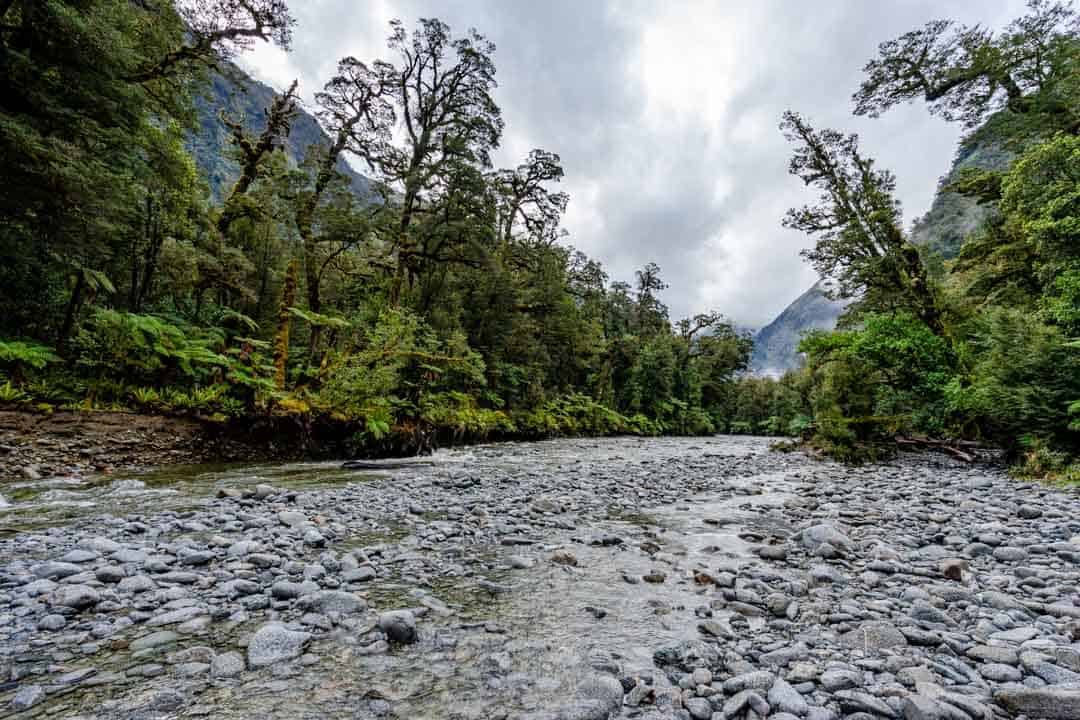 Doubtful Sound River