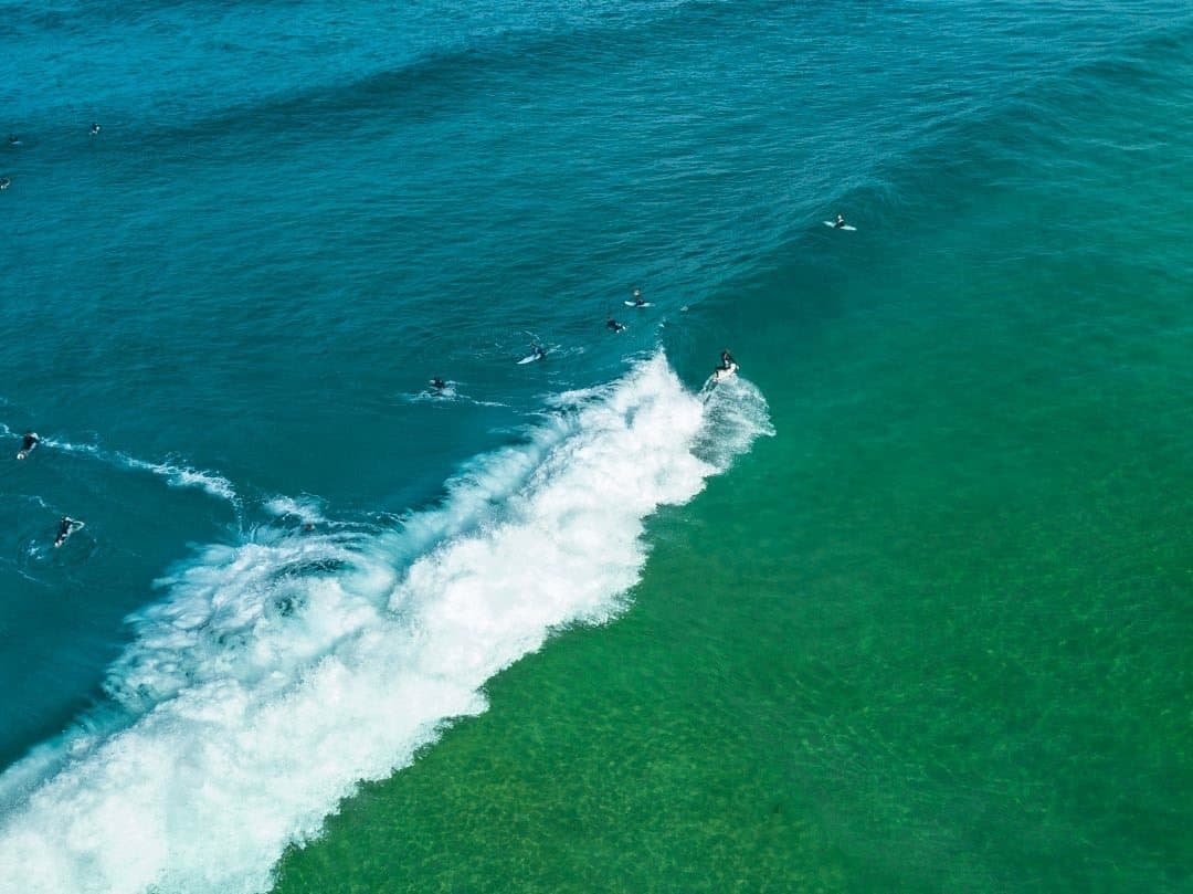 Surfing Winter Sydney