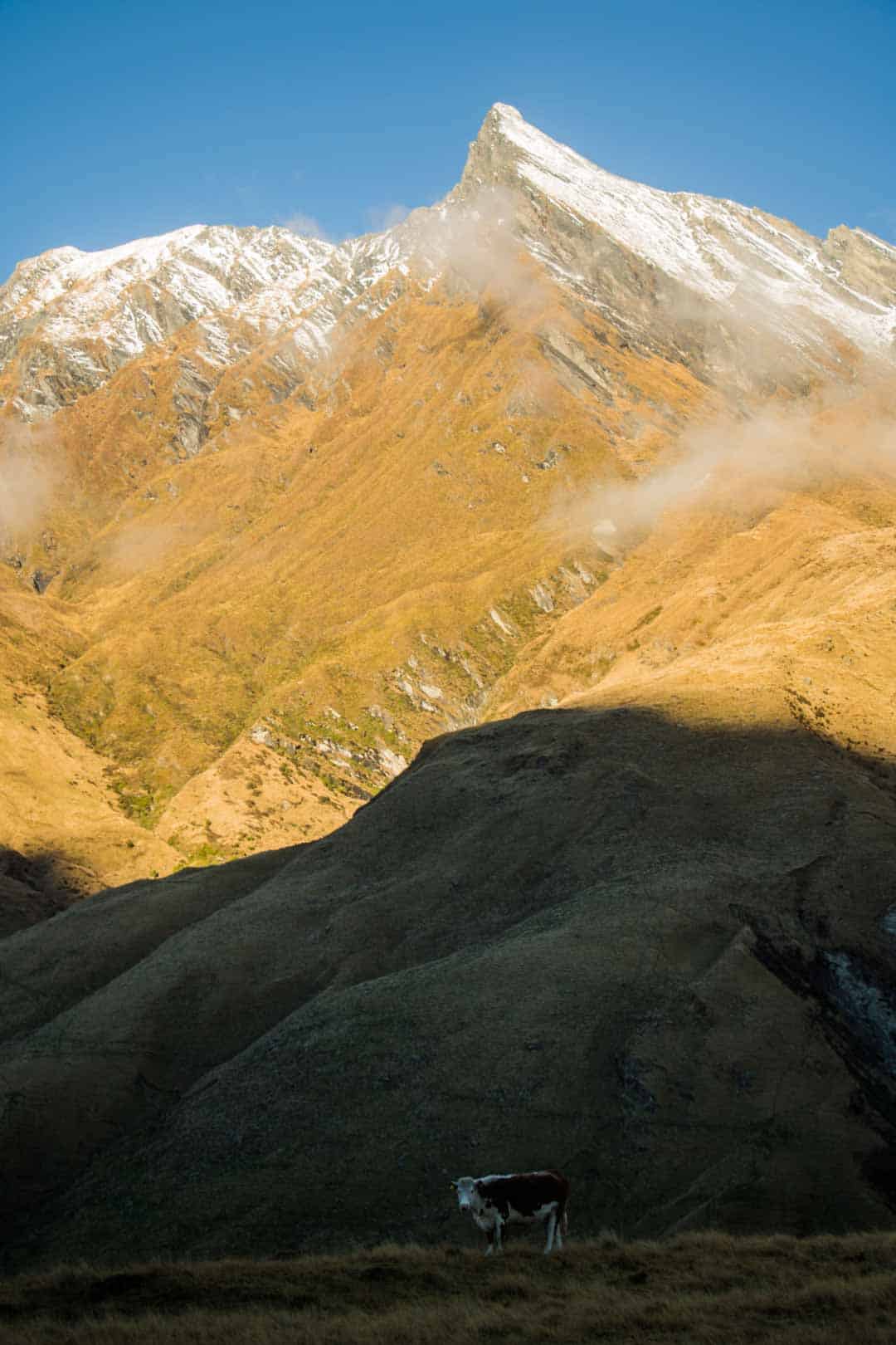 South Island Mountain