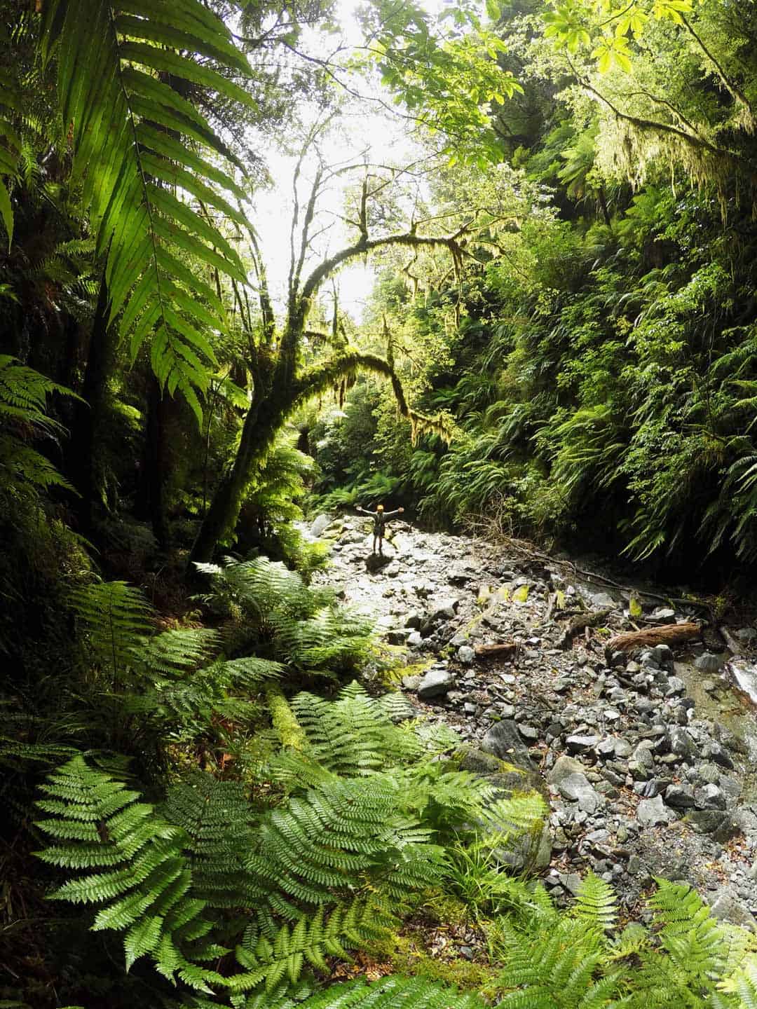 Trekking On The South Island