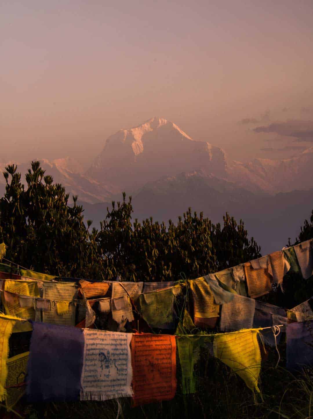 Dhaulagiri Light