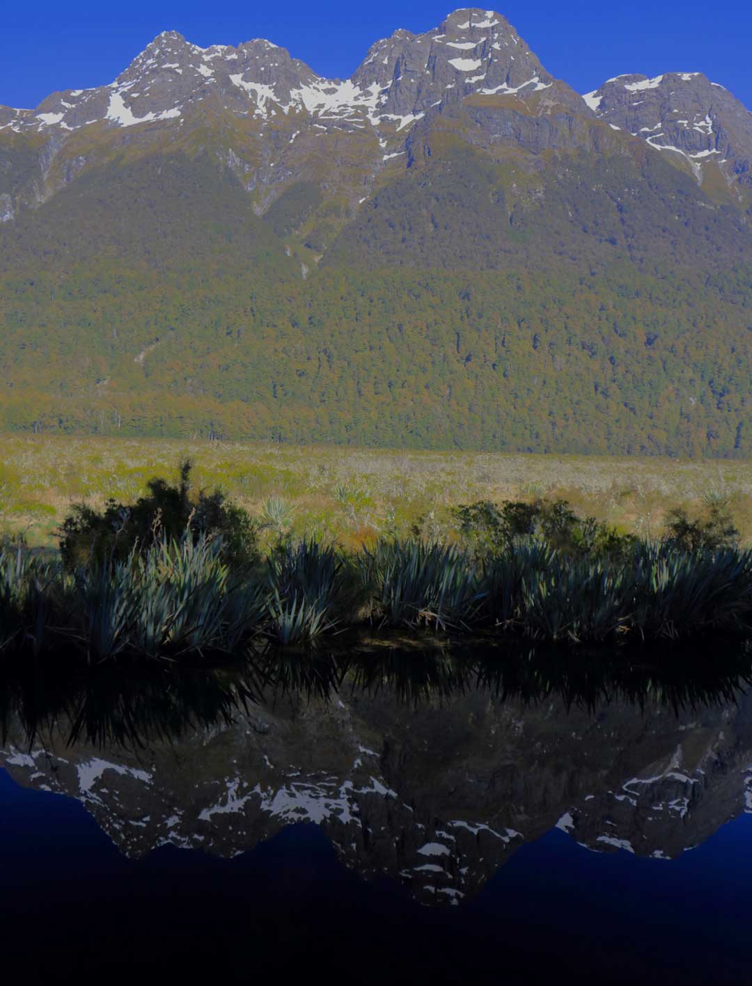 Mirror Lake
