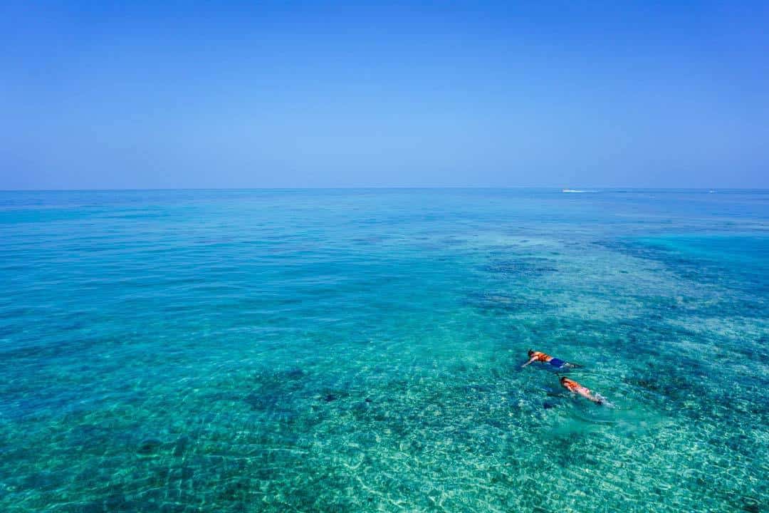 s biggest natural wonders the Great Barrier Reef fifteen Epic Things to Do inwards Cairns, Commonwealth of Australia (2019 Edition)