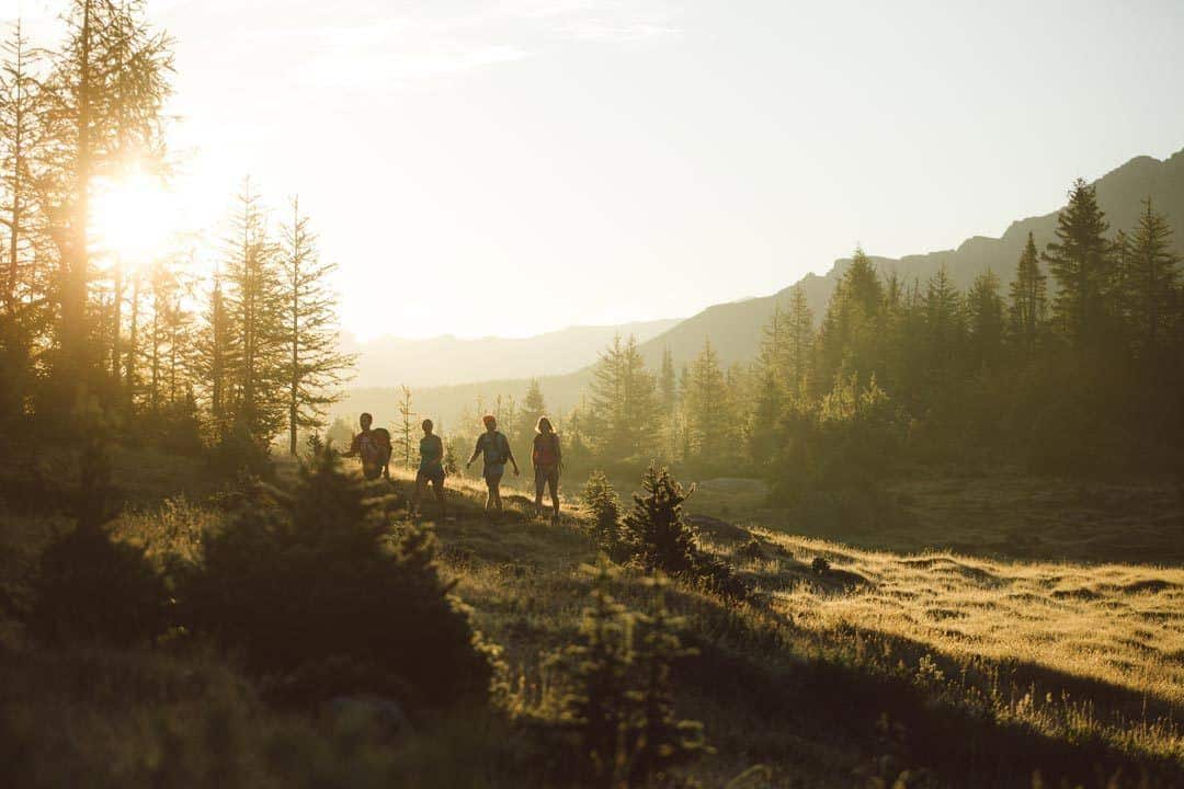 Best Day Hikes In Banff Sentinel Pass