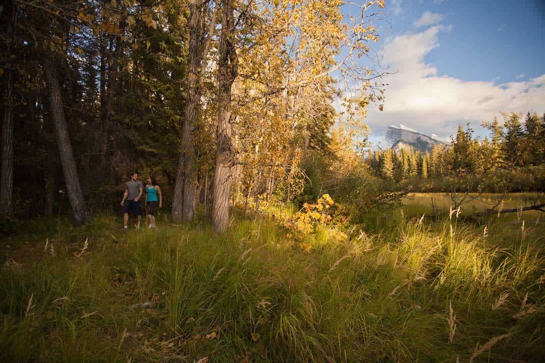 Best Banff Hikes Fenlands Trail