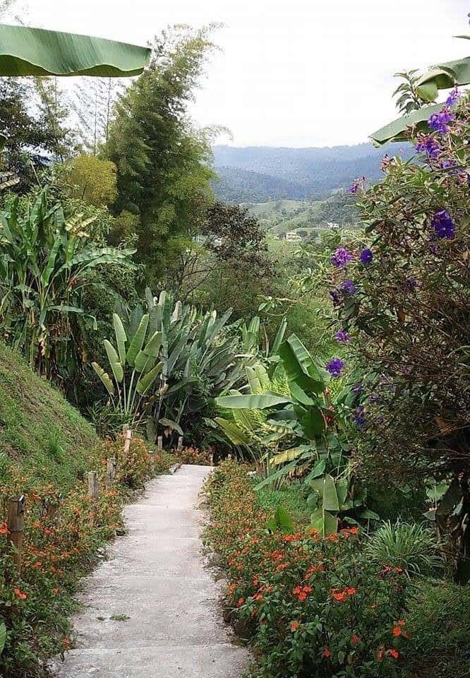 Trails, Casa Amarillo, Mindo, Ecuador