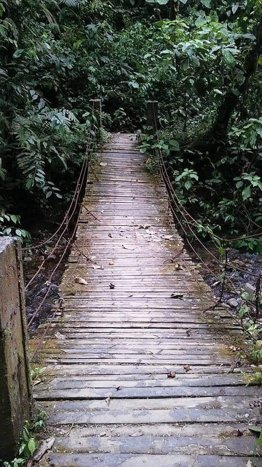 joining a chocolate tour to visiting a butterfly farm nine Unique Things to Do inwards Mindo, Ecuador