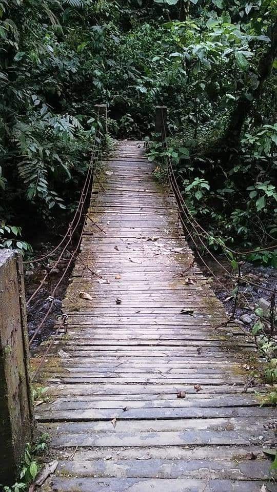 Wooden Trail, Things To Do In Mindo