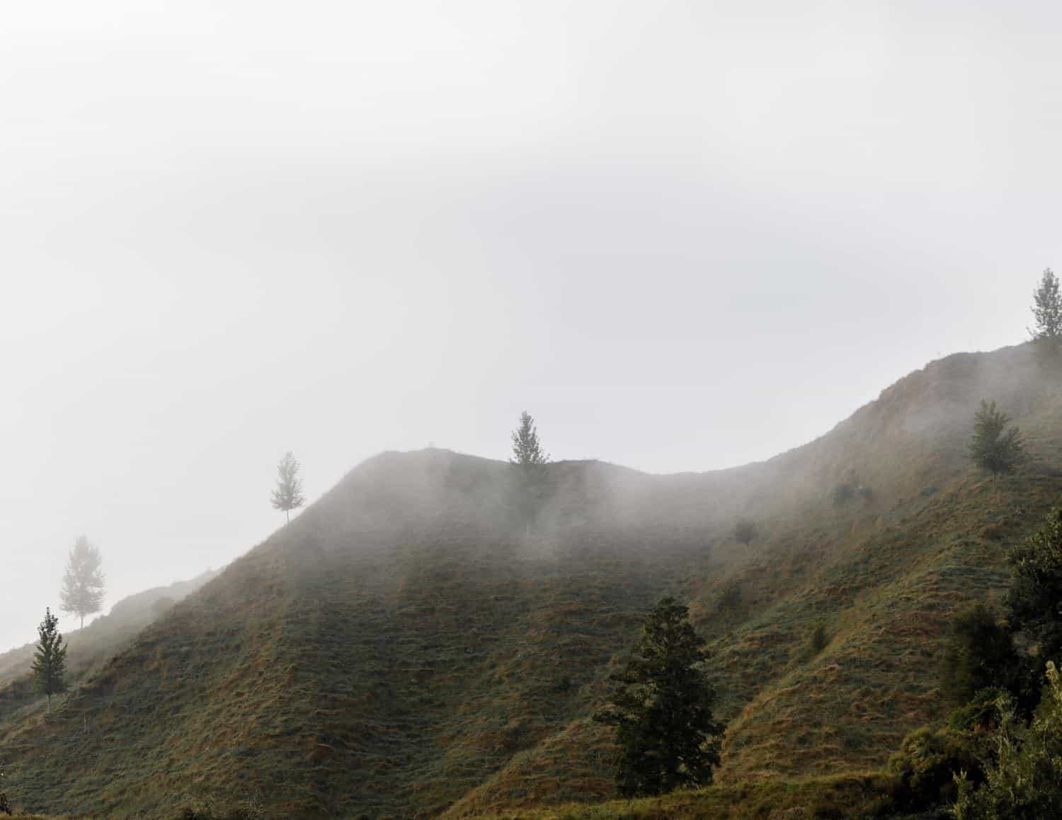 Whanganui Journey New Zealand