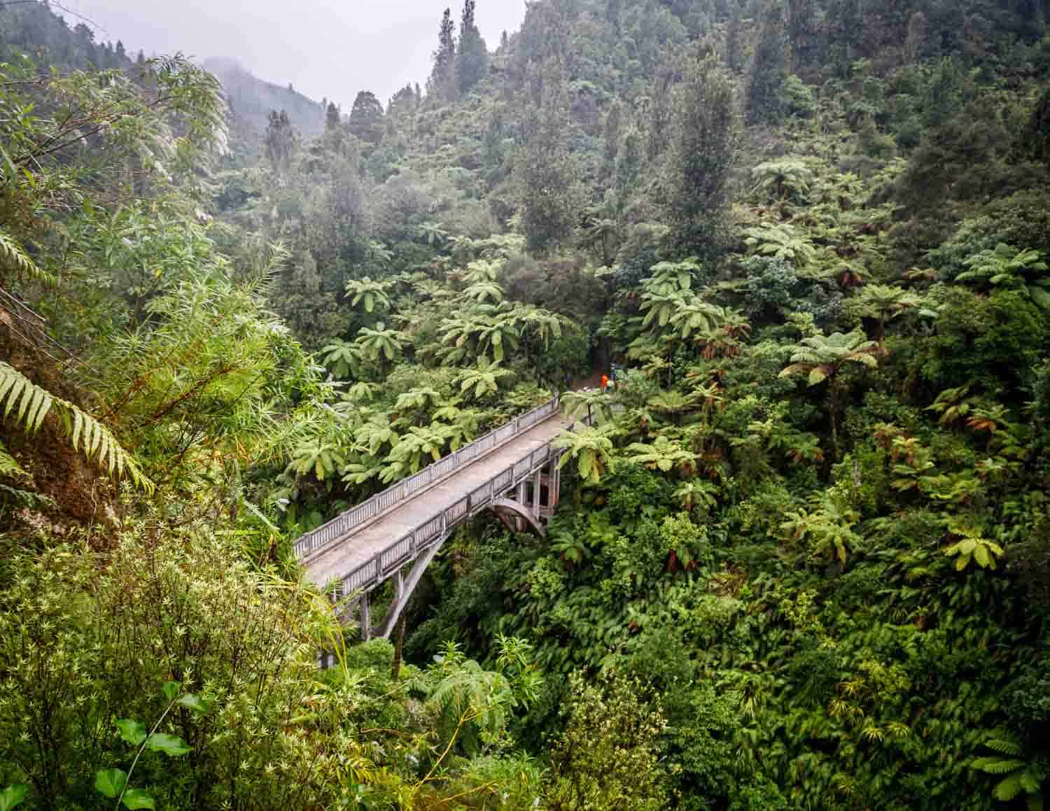 From rapids as well as canoeing to experiencing untamed nature firsthand these are exactly some of t The Ultimate Guide to the Whanganui Journey inward New Zealand