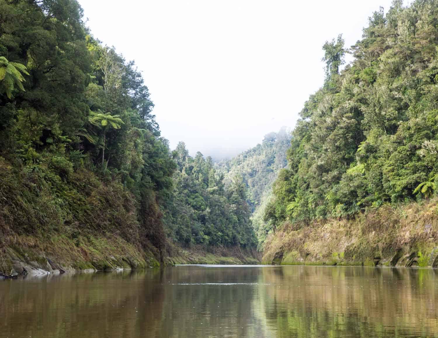 Nature Of New Zealand