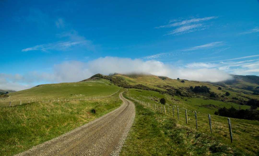 There are together with hence many things you lot tin during New Zealand The Ultimate Guide to New Zealand’s South Island inwards Winter