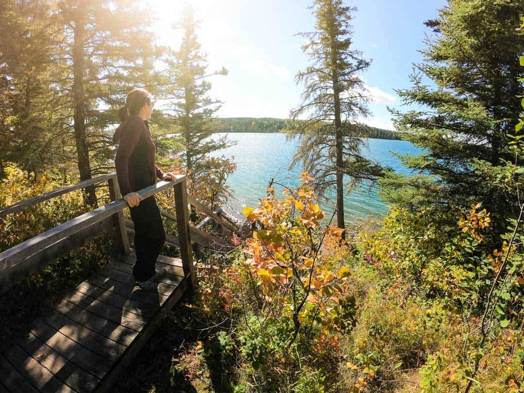From hanging out amongst bison to taking a fatty cycle on awesome wood trails fourteen Fun Things to Do inwards Riding Mountain National Park