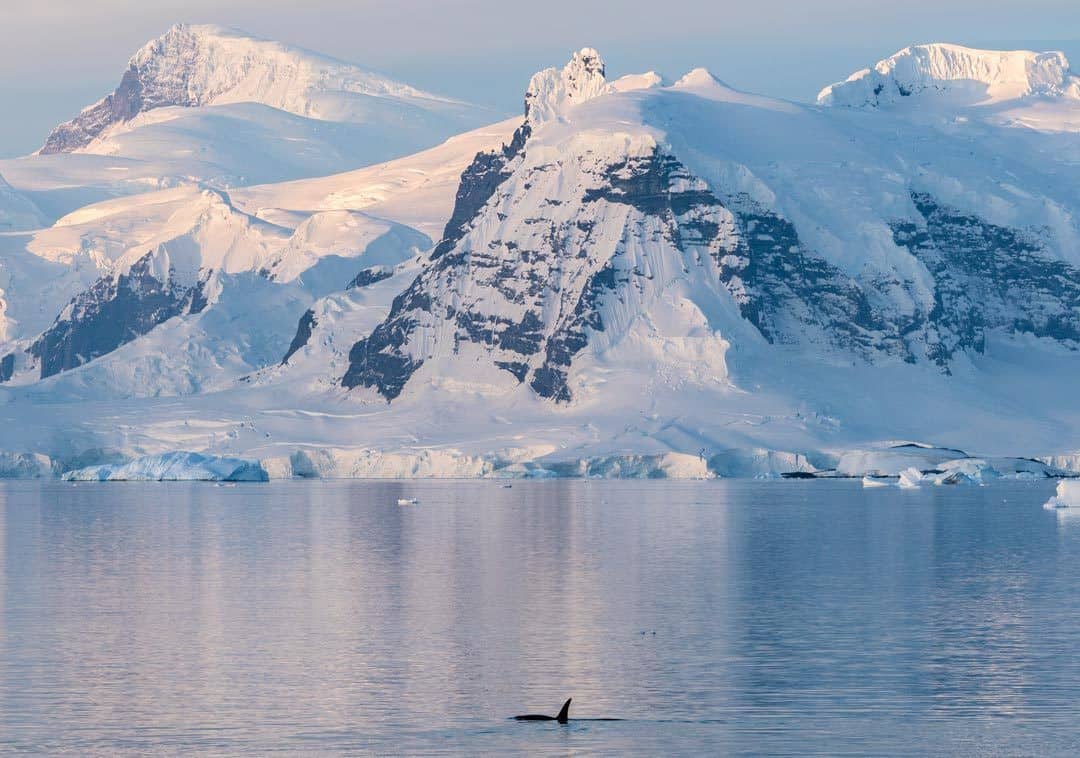 Big Mountains Travel To Antarctica