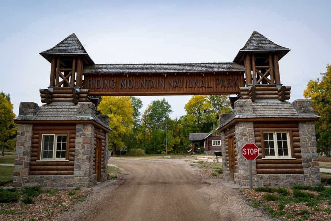 From hanging out amongst bison to taking a fatty cycle on awesome wood trails fourteen Fun Things to Do inwards Riding Mountain National Park
