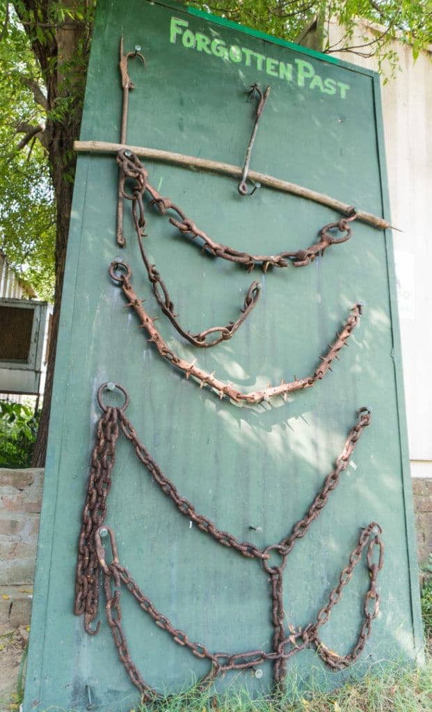 Chains Removed From Captive Elephants At Wildlife Sos Elephant Charity India.