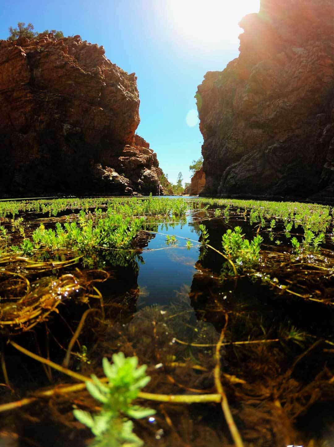 Gorge Larapinta