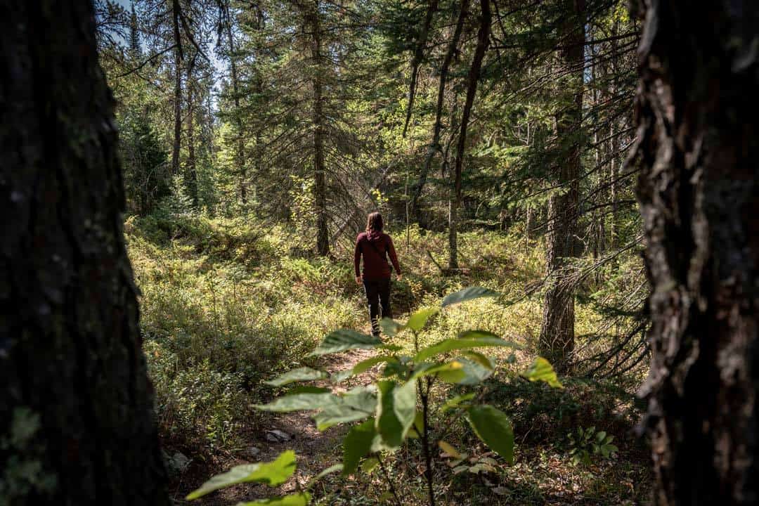 Falcon Lake Hiking